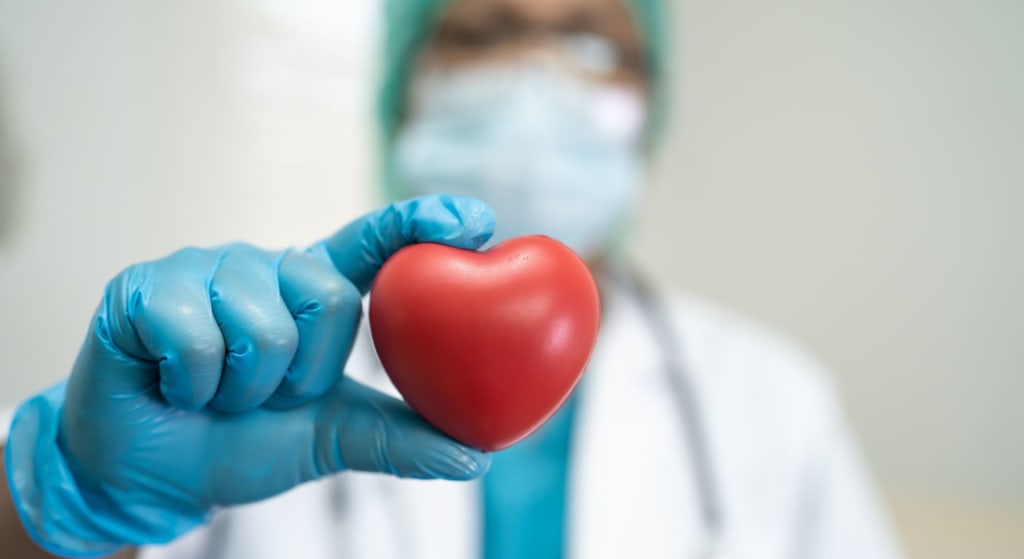 A person wearing medical gloves, a mask, and a lab coat holds a small red heart model toward the camera.